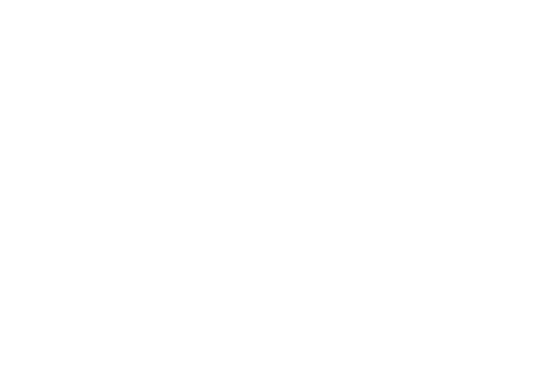 Yari Capital